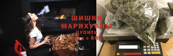 молекула духа Гусиноозёрск