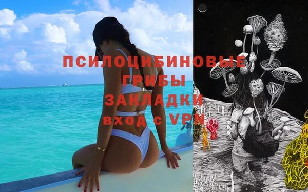 молекула духа Гусиноозёрск