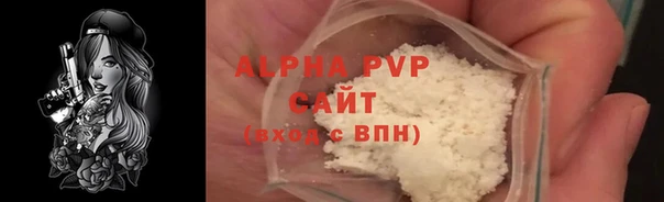Альфа ПВП Гусев