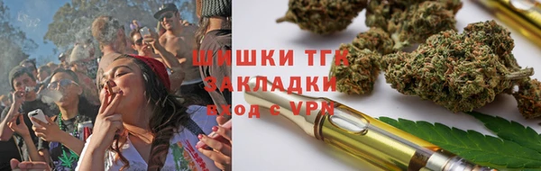 Альфа ПВП Гусев