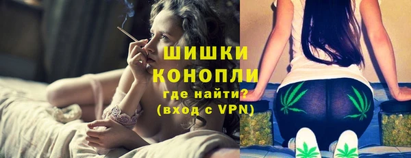 молекула духа Гусиноозёрск