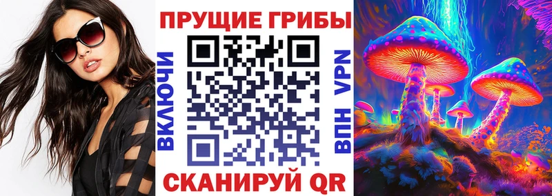 Галлюциногенные грибы прущие грибы  Купить закладки  Наволоки 